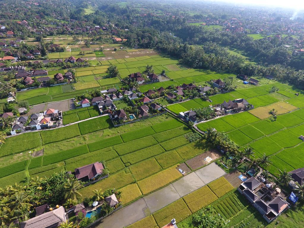 Pondok Penestanan Villa Ubud Exterior foto